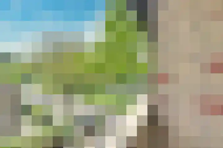 Ridderplantsoen 24 2 Utrecht thumbnail 23
