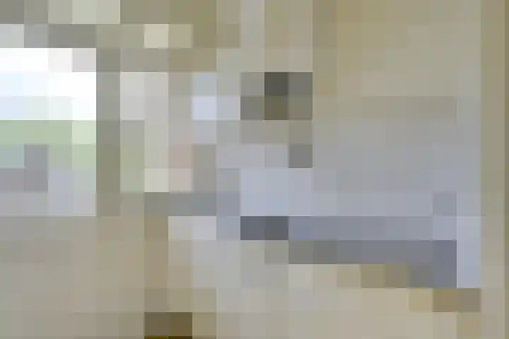 Ridderplantsoen 24 2 Utrecht thumbnail 25
