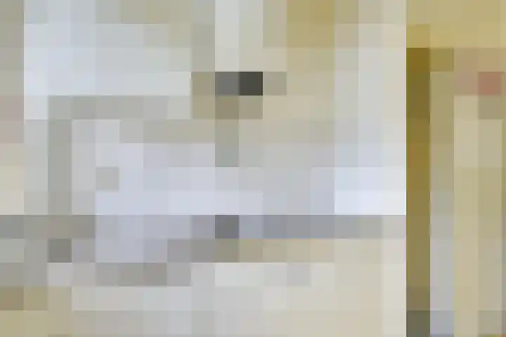 Ridderplantsoen 24 2 Utrecht thumbnail 26
