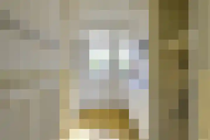 Ridderplantsoen 24 2 Utrecht thumbnail 27