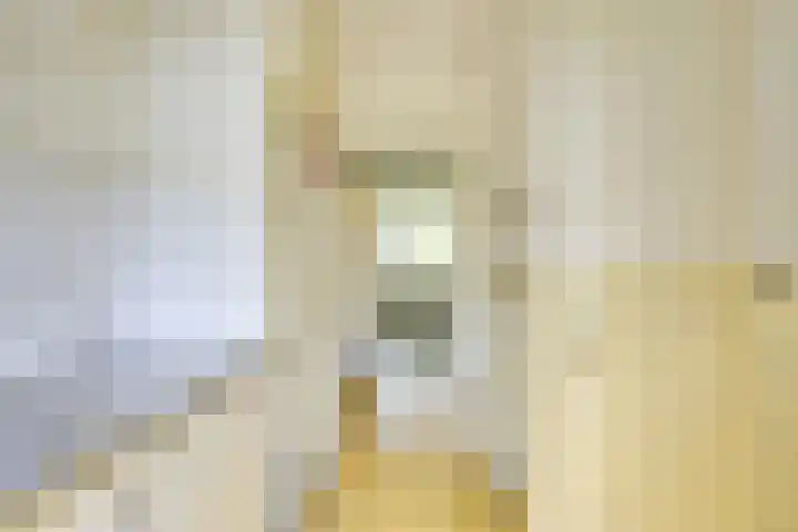 Ridderplantsoen 24 2 Utrecht thumbnail 29