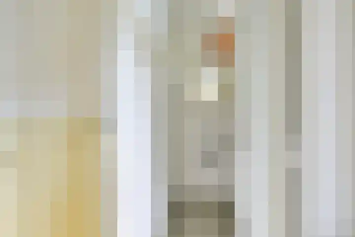 Ridderplantsoen 24 2 Utrecht thumbnail 30