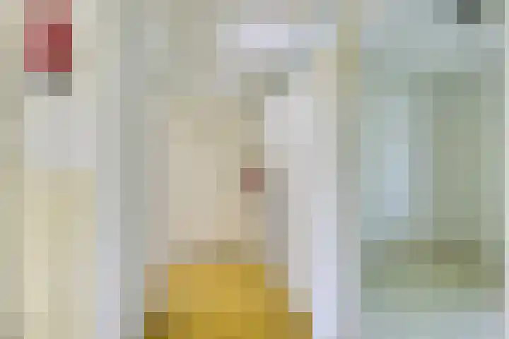 Ridderplantsoen 24 2 Utrecht thumbnail 33