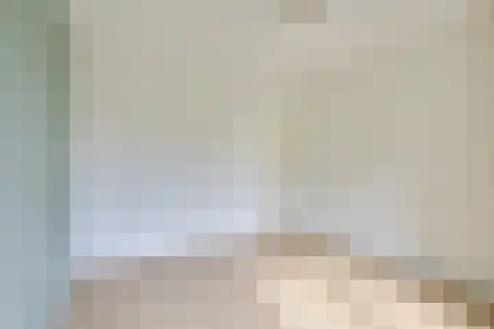 Ridderplantsoen 24 2 Utrecht thumbnail 37