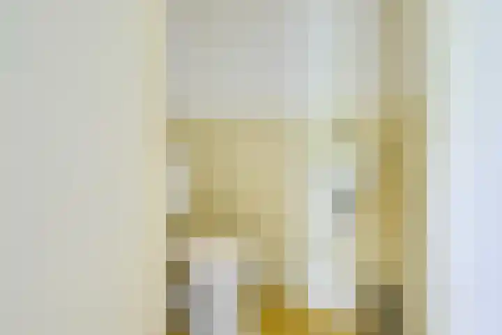 Ridderplantsoen 24 2 Utrecht thumbnail 45