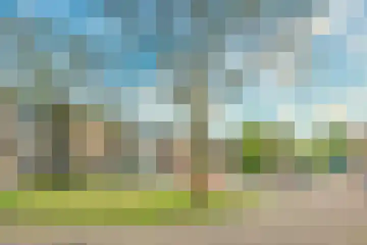 Ridderplantsoen 24 2 Utrecht thumbnail 48