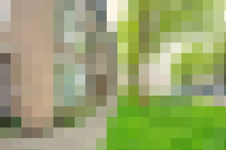 Ridderplantsoen 24 2 Utrecht thumbnail 49