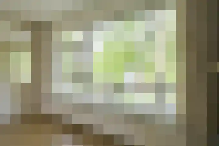 Ridderplantsoen 24 2 Utrecht thumbnail 5