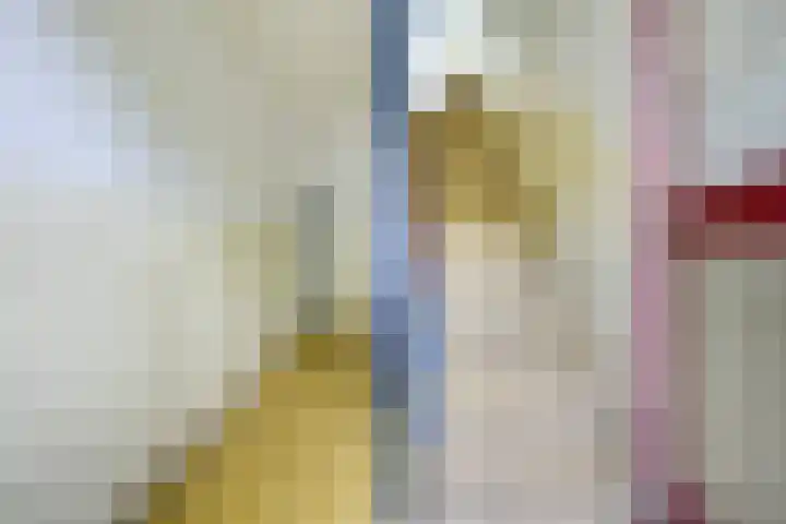 Ridderplantsoen 24 2 Utrecht thumbnail 51
