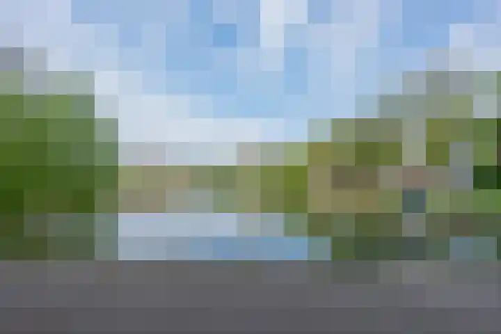 Ridderplantsoen 24 2 Utrecht thumbnail 54