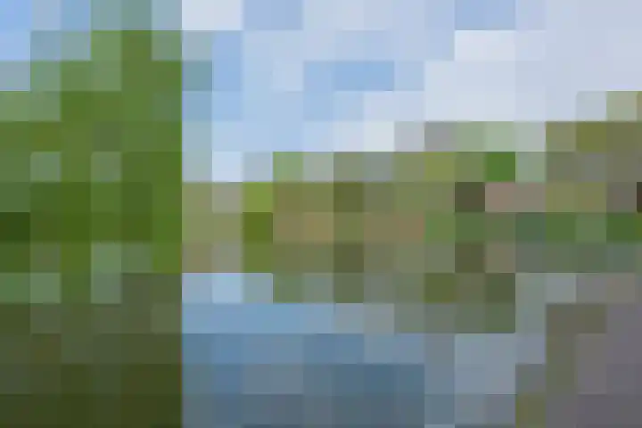 Ridderplantsoen 24 2 Utrecht thumbnail 55