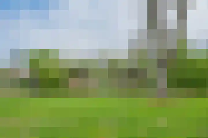 Ridderplantsoen 24 2 Utrecht thumbnail 56