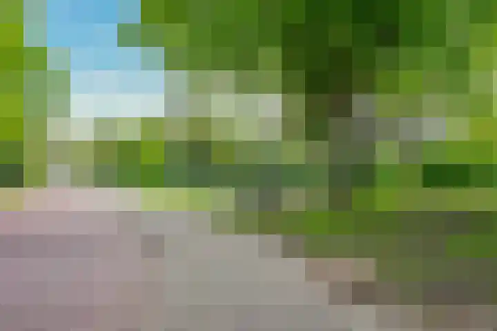 Ridderplantsoen 24 2 Utrecht thumbnail 57