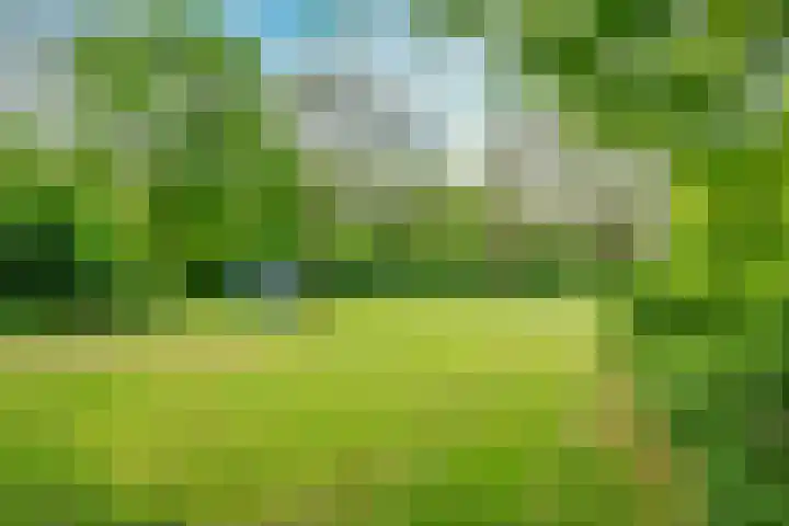 Ridderplantsoen 24 2 Utrecht thumbnail 58