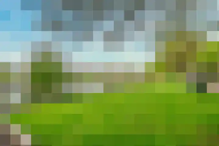 Ridderplantsoen 24 2 Utrecht thumbnail 59