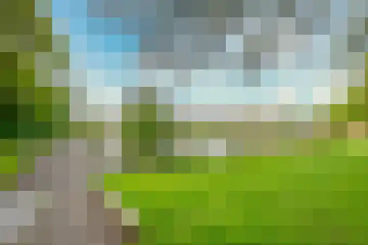 Ridderplantsoen 24 2 Utrecht thumbnail 60
