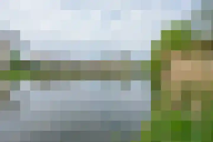 Ridderplantsoen 24 2 Utrecht thumbnail 61