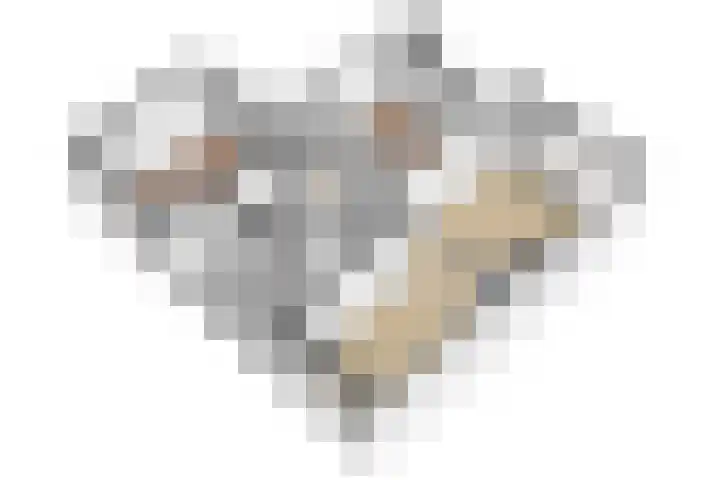 Ridderplantsoen 24 2 Utrecht thumbnail 64