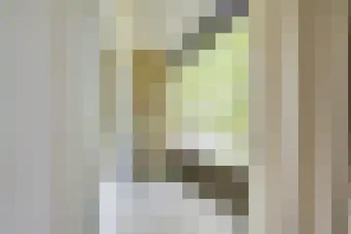 Ridderplantsoen 24 2 Utrecht thumbnail 9