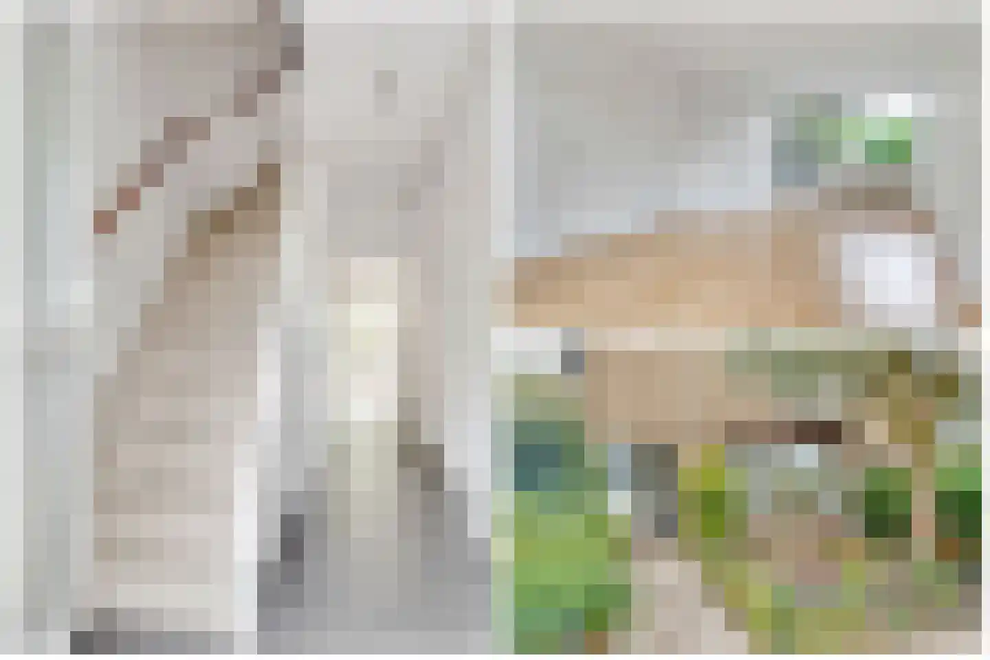 Ridderplantsoen 4 Utrecht thumbnail 20