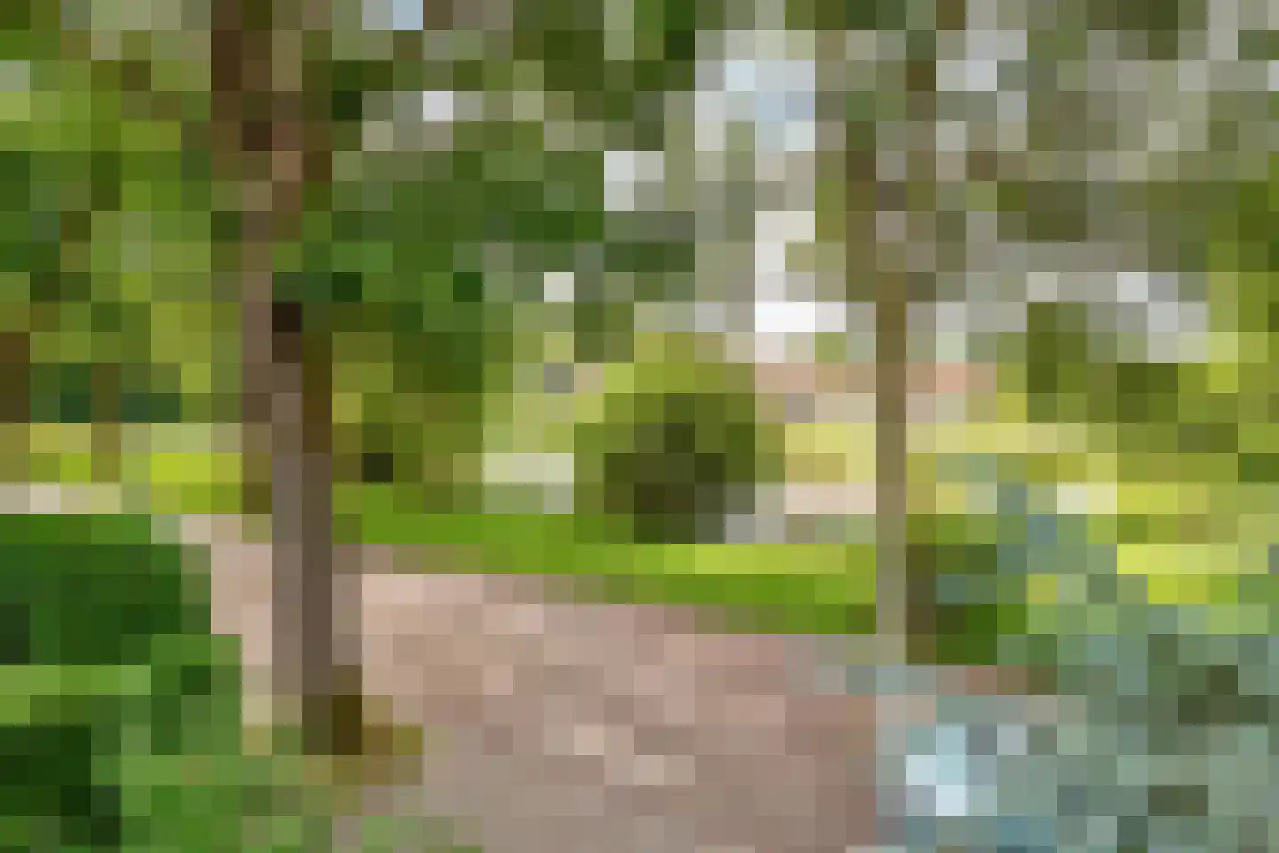 Ridderplantsoen 4 Utrecht thumbnail 24