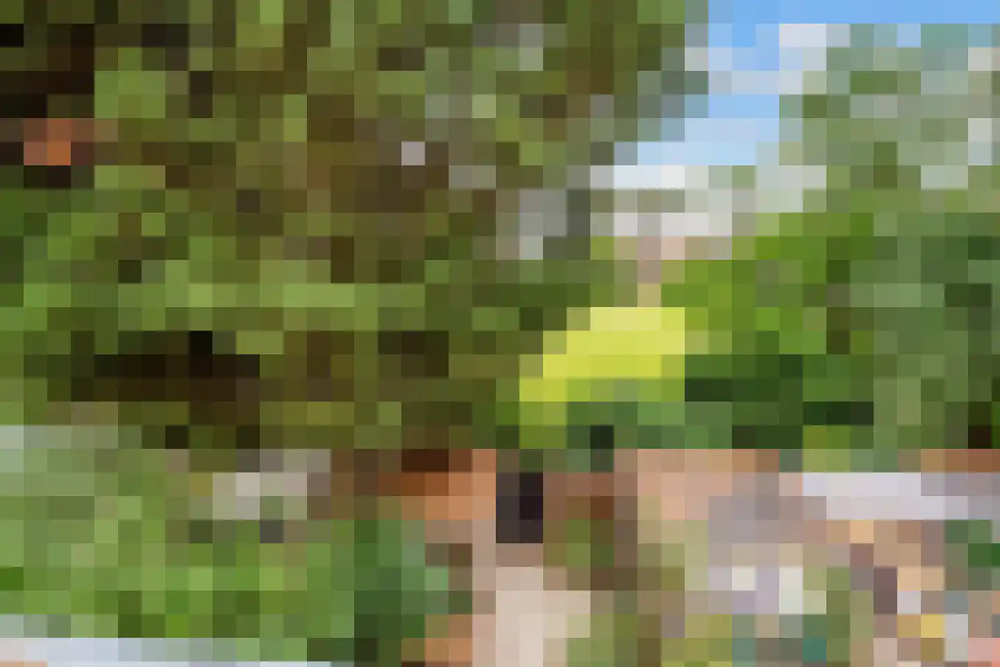Ridderplantsoen 4 Utrecht thumbnail 34