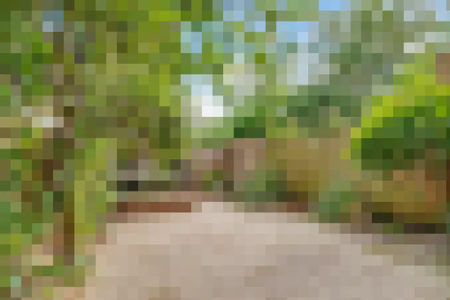 Ridderplantsoen 4 Utrecht thumbnail 35