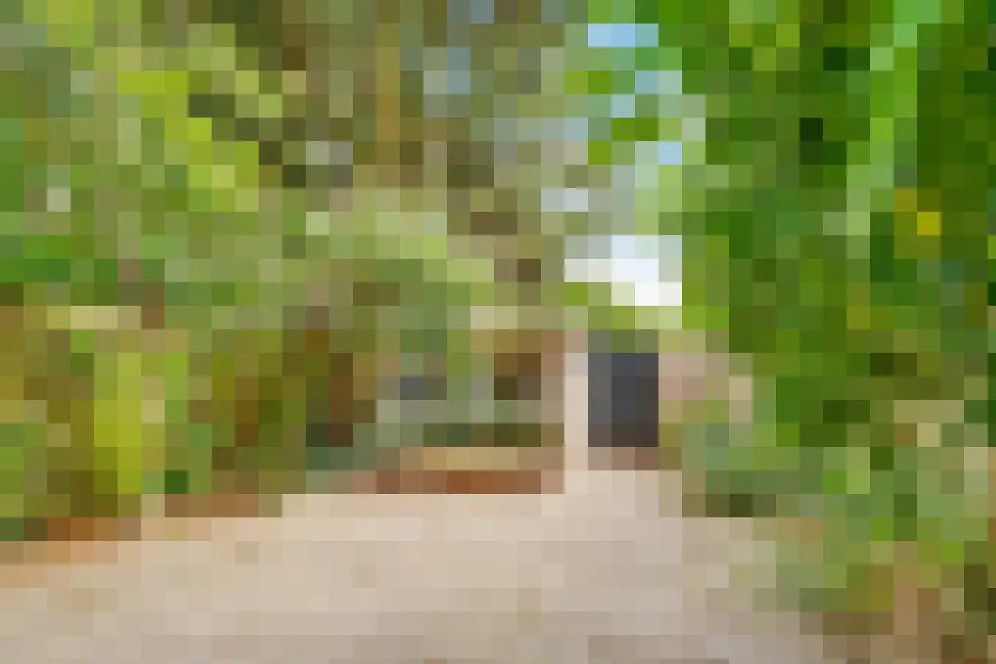 Ridderplantsoen 4 Utrecht thumbnail 36