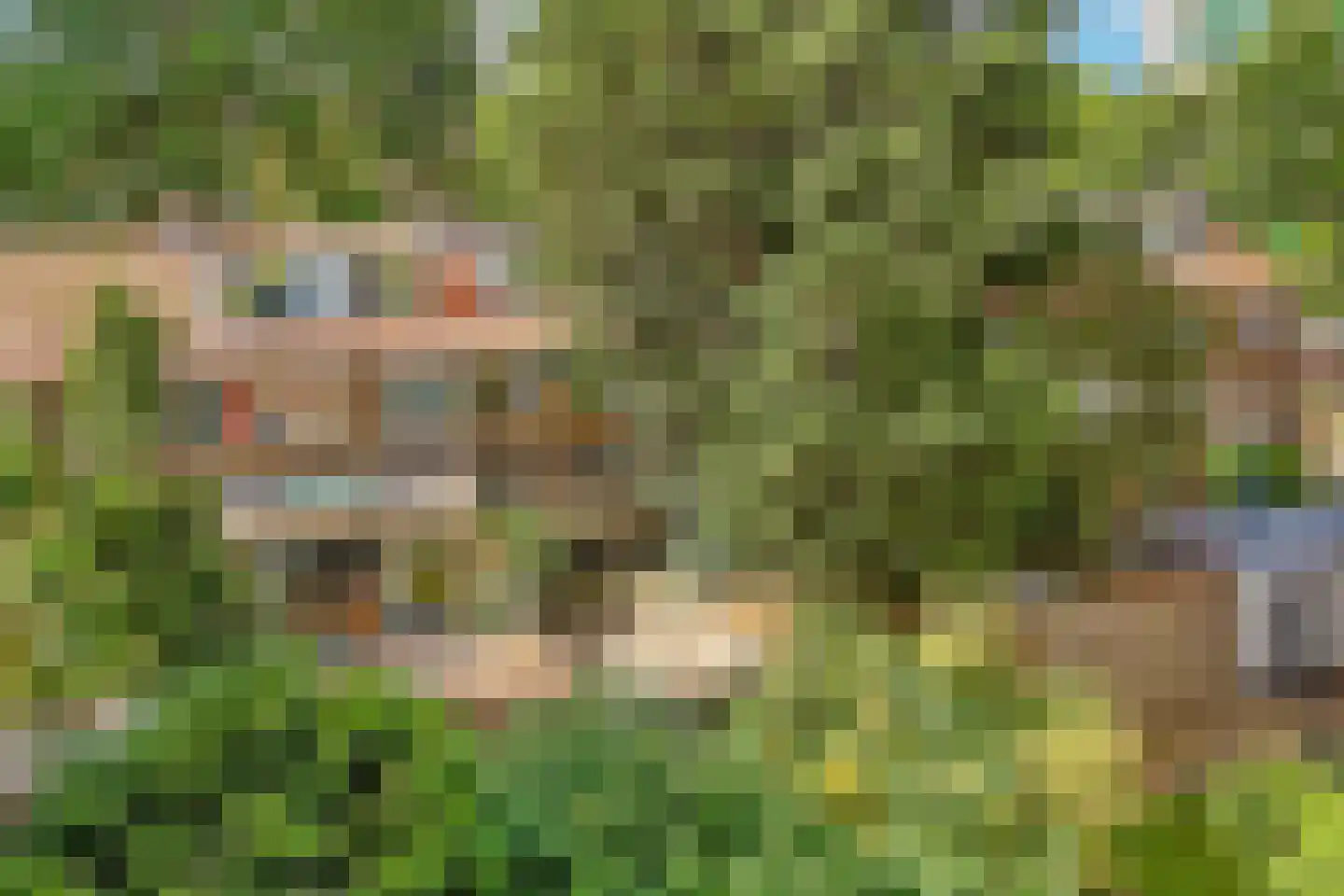 Ridderplantsoen 4 Utrecht thumbnail 38
