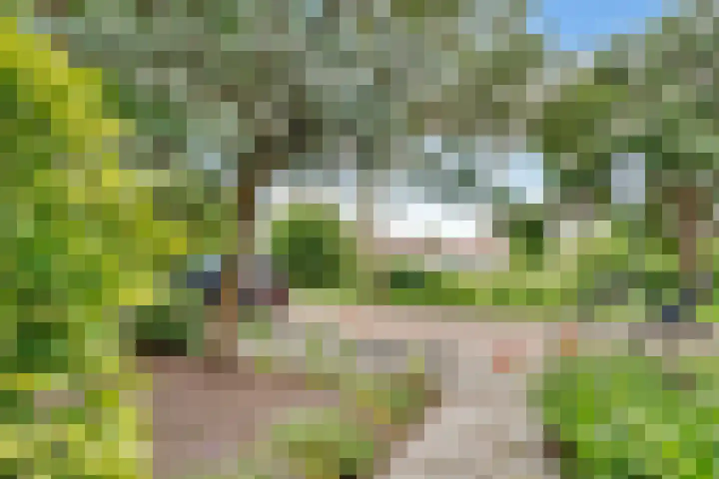 Ridderplantsoen 4 Utrecht thumbnail 4