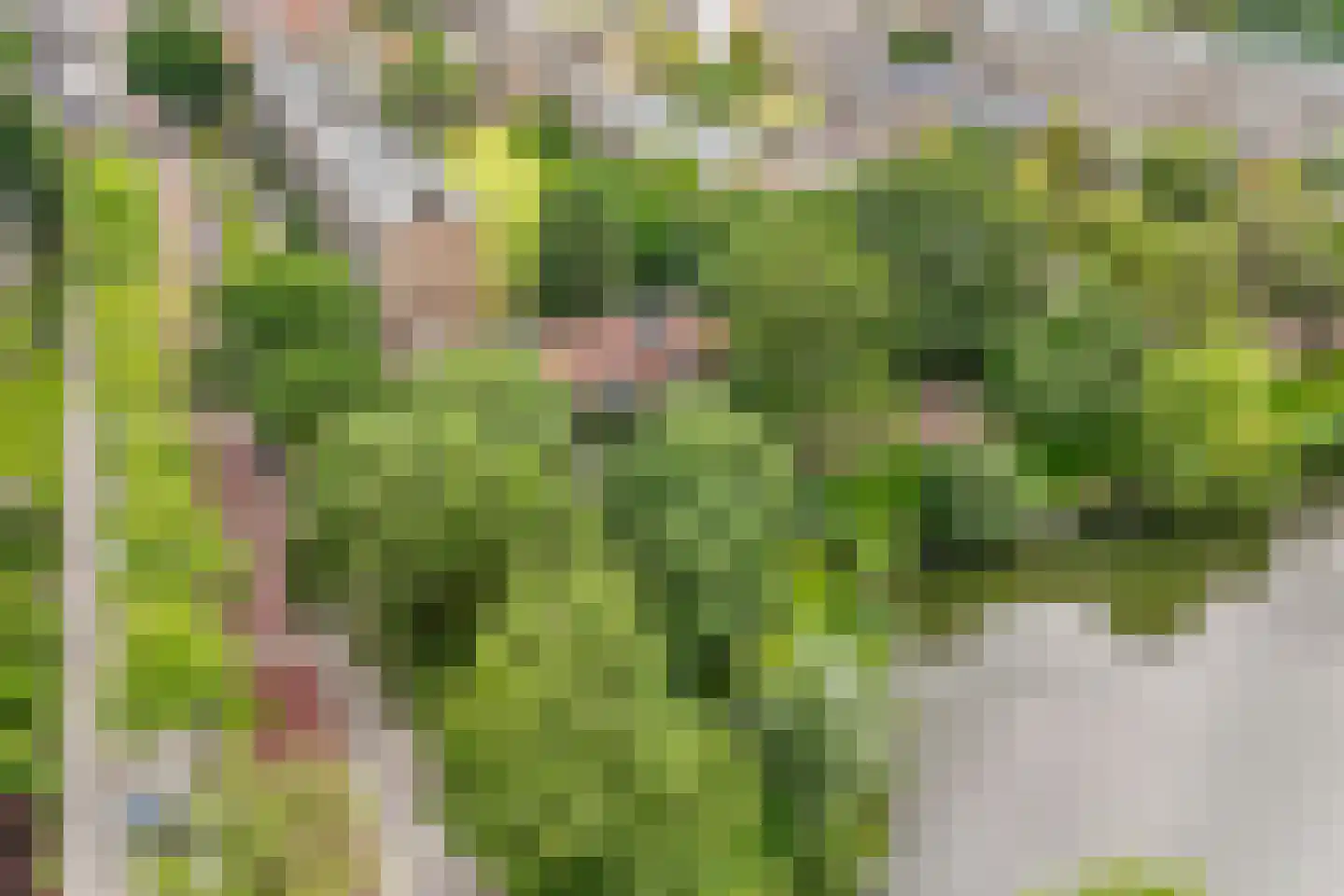 Ridderplantsoen 4 Utrecht thumbnail 8