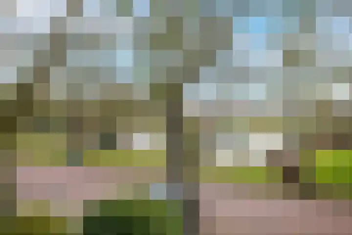 Ridderplantsoen 5 Utrecht thumbnail 14
