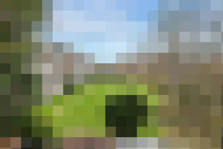 Ridderplantsoen 5 Utrecht thumbnail 18
