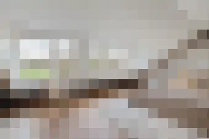 Ridderplantsoen 5 Utrecht thumbnail 22