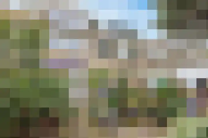 Ridderplantsoen 5 Utrecht thumbnail 23