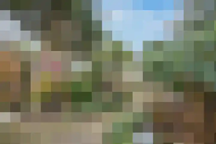 Ridderplantsoen 5 Utrecht thumbnail 24