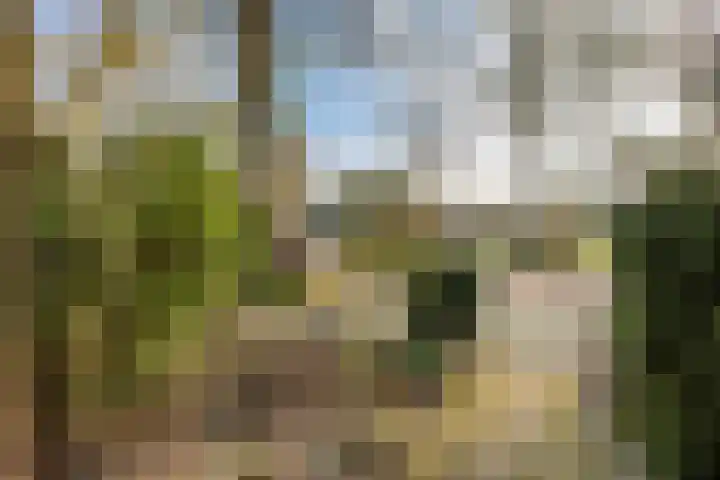 Ridderplantsoen 5 Utrecht thumbnail 25