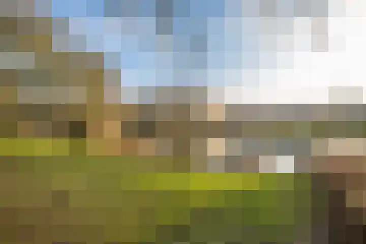 Ridderplantsoen 5 Utrecht thumbnail 26