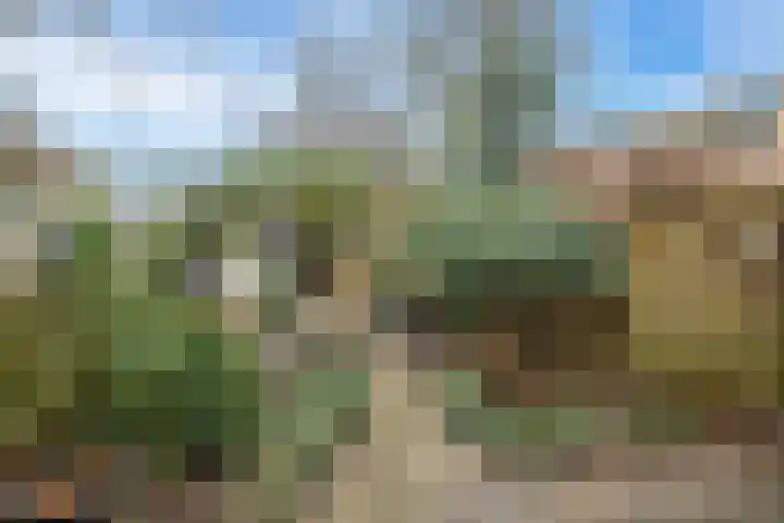 Ridderplantsoen 5 Utrecht thumbnail 4