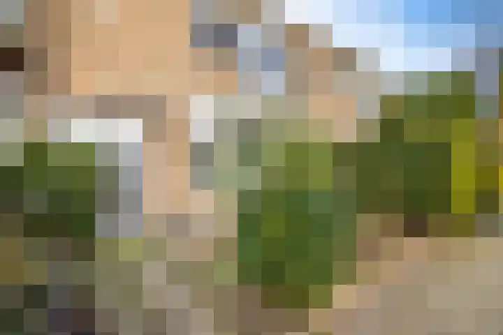 Ridderplantsoen 5 Utrecht thumbnail 5