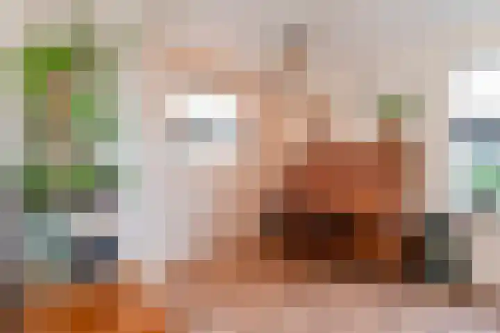 Riddersborch 13 Houten thumbnail 12