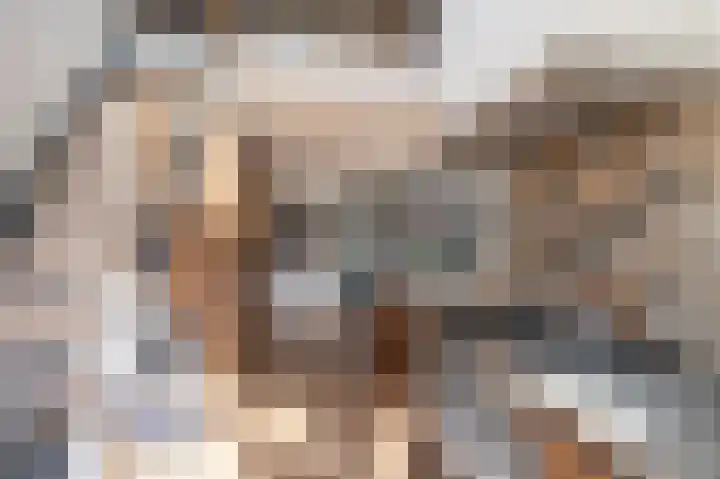 Riddersborch 13 Houten thumbnail 21