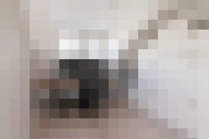 Riddersborch 13 Houten thumbnail 22
