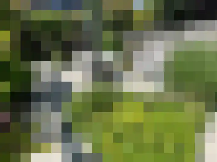 Riddersborch 13 Houten thumbnail 23