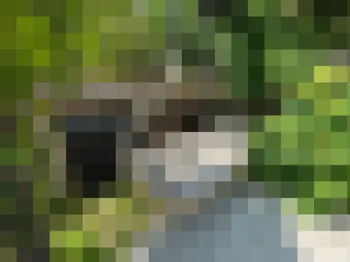 Riddersborch 13 Houten thumbnail 24