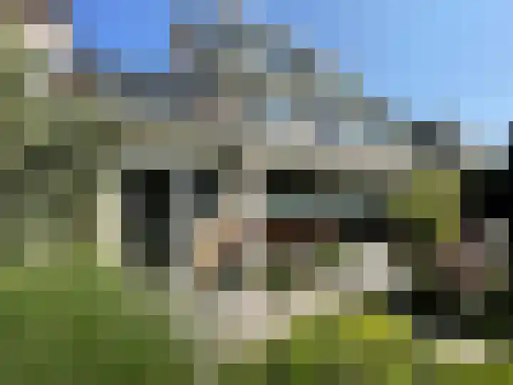 Riddersborch 13 Houten thumbnail 26