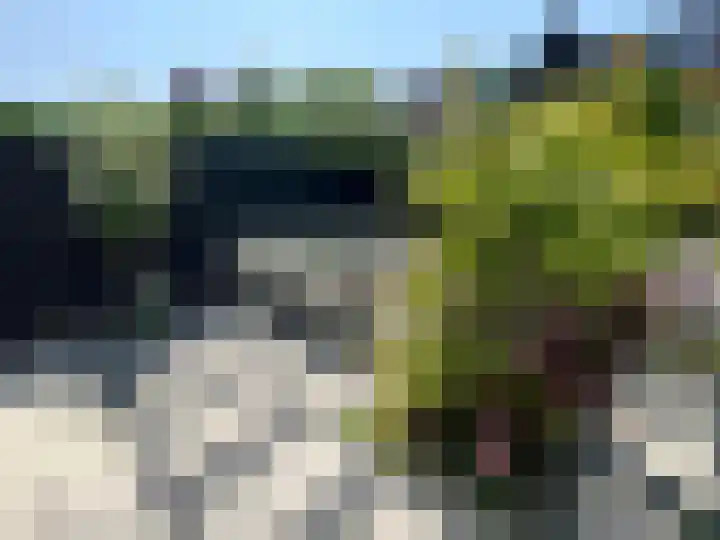 Riddersborch 13 Houten thumbnail 27