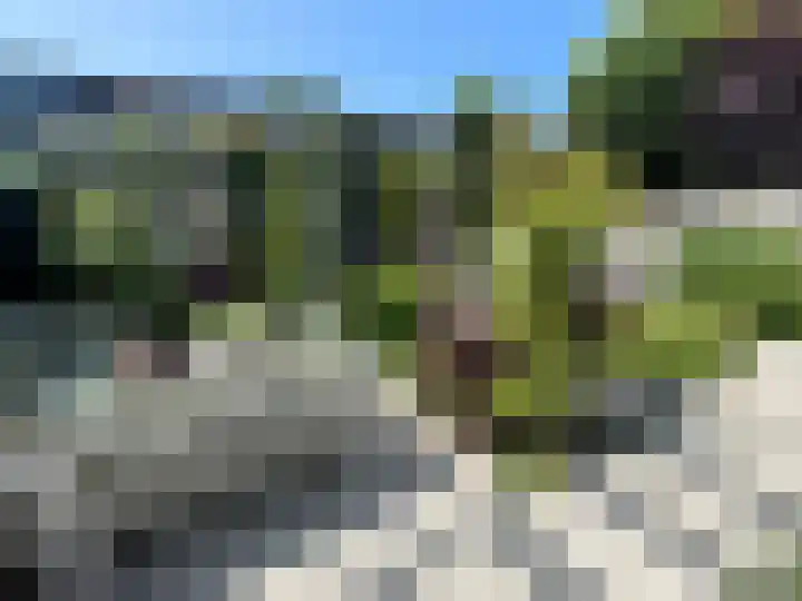 Riddersborch 13 Houten thumbnail 28