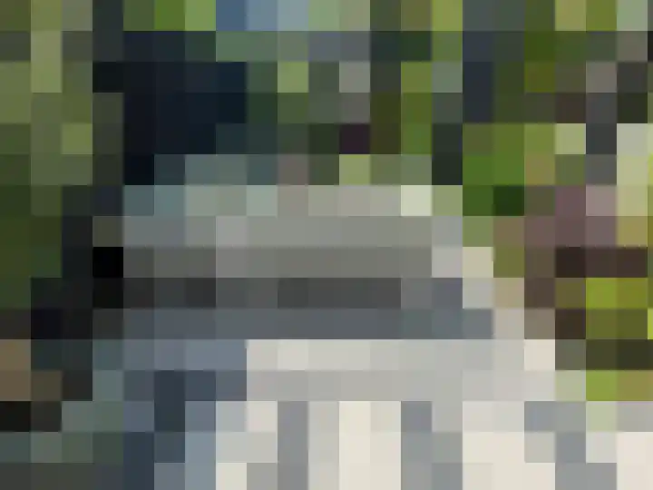 Riddersborch 13 Houten thumbnail 29