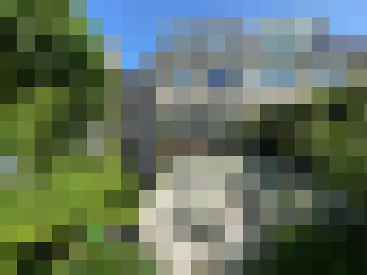 Riddersborch 13 Houten thumbnail 30